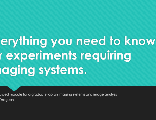 Everything You Need to Know for Experiments Requiring Imaging Systems